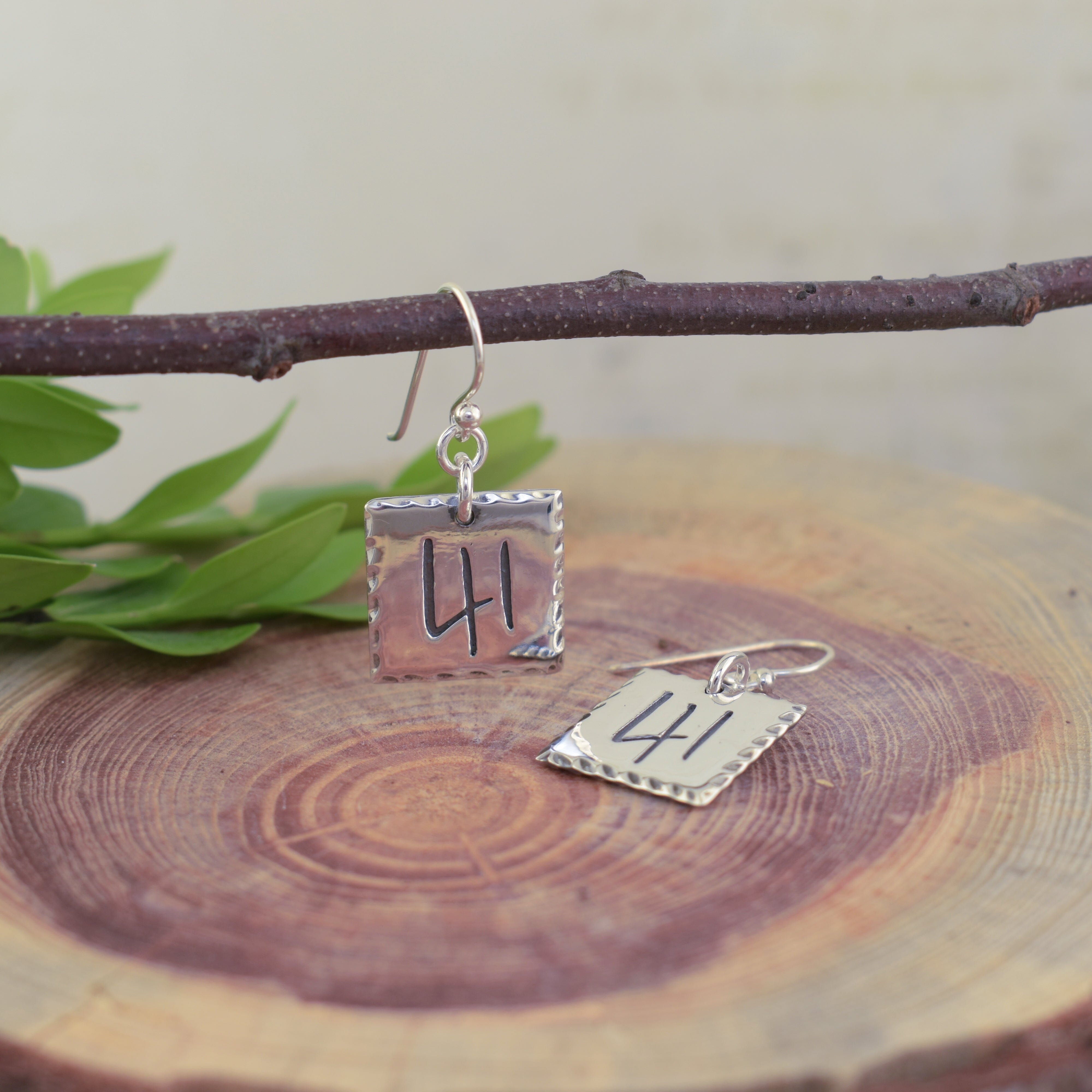 41 Earrings