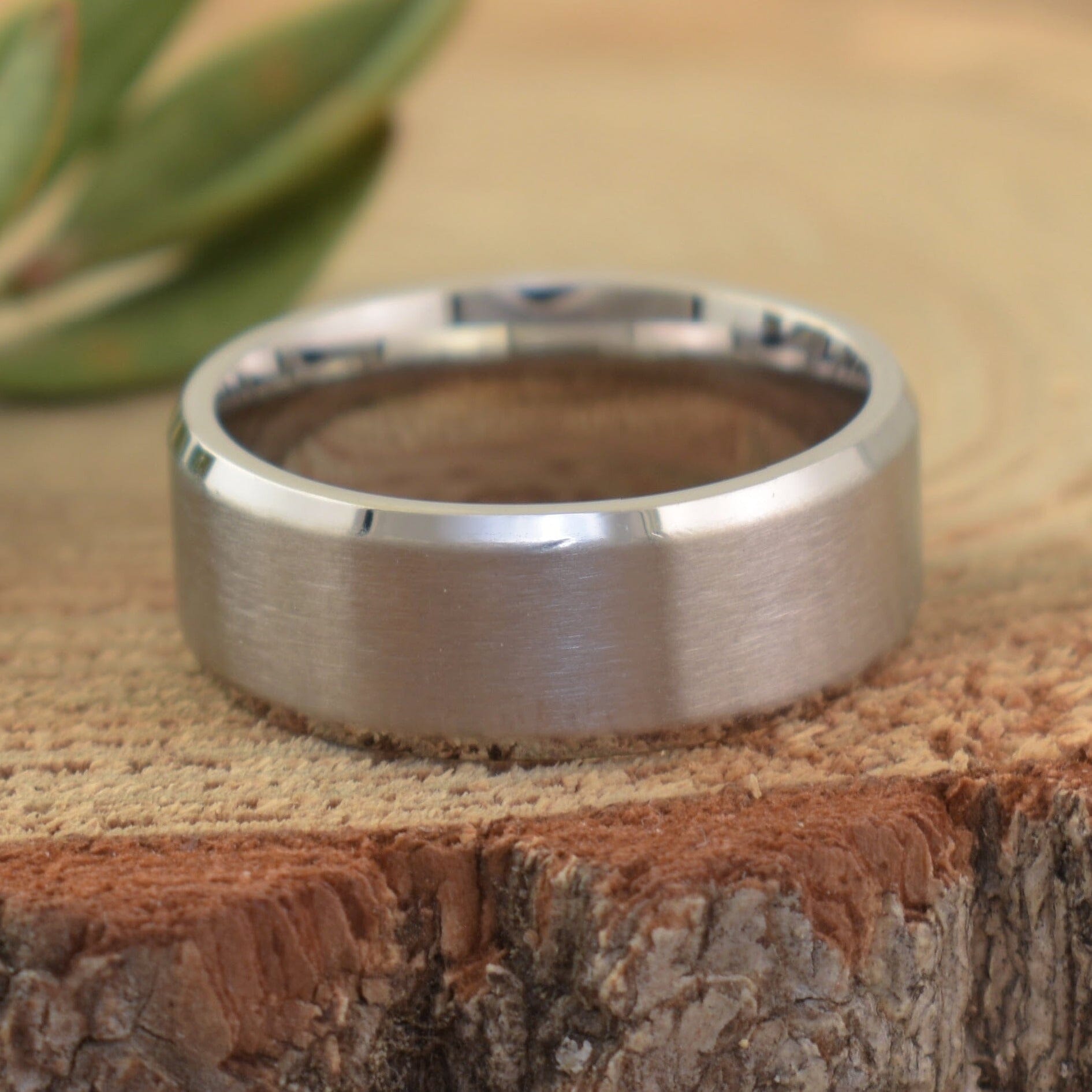 Brushed Stainless Band