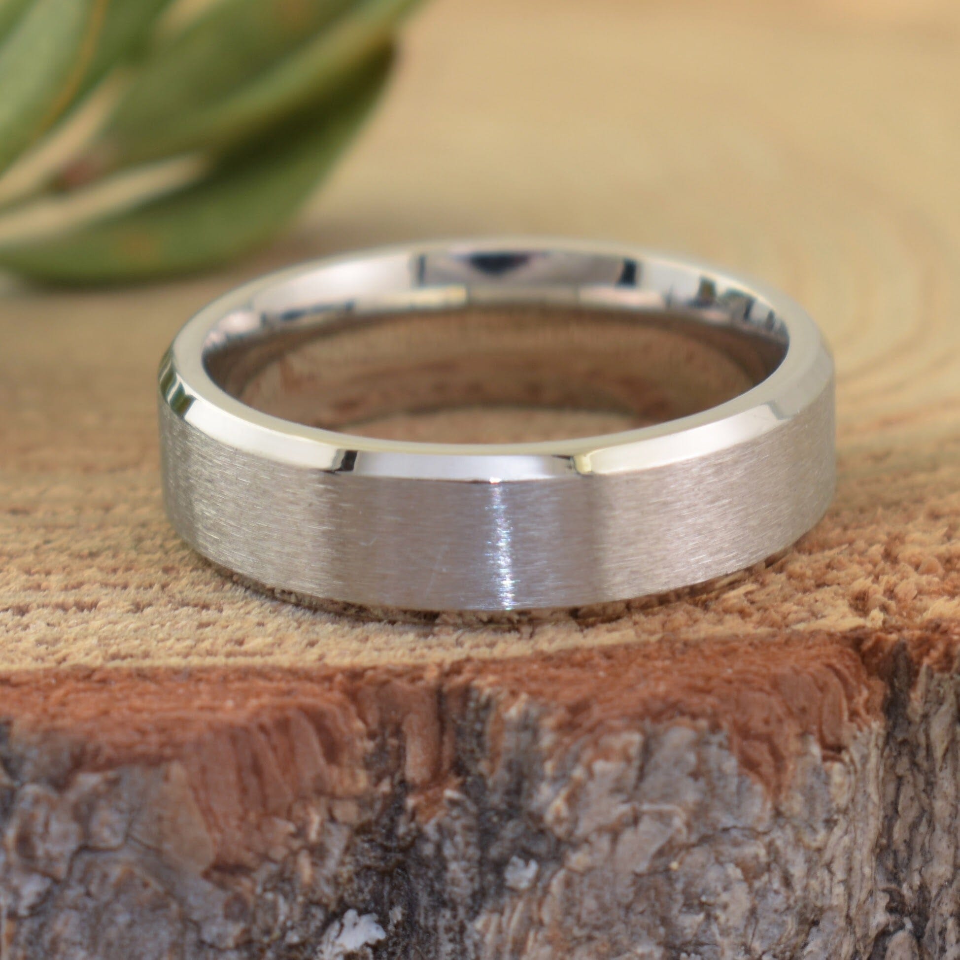 Brushed Stainless Band