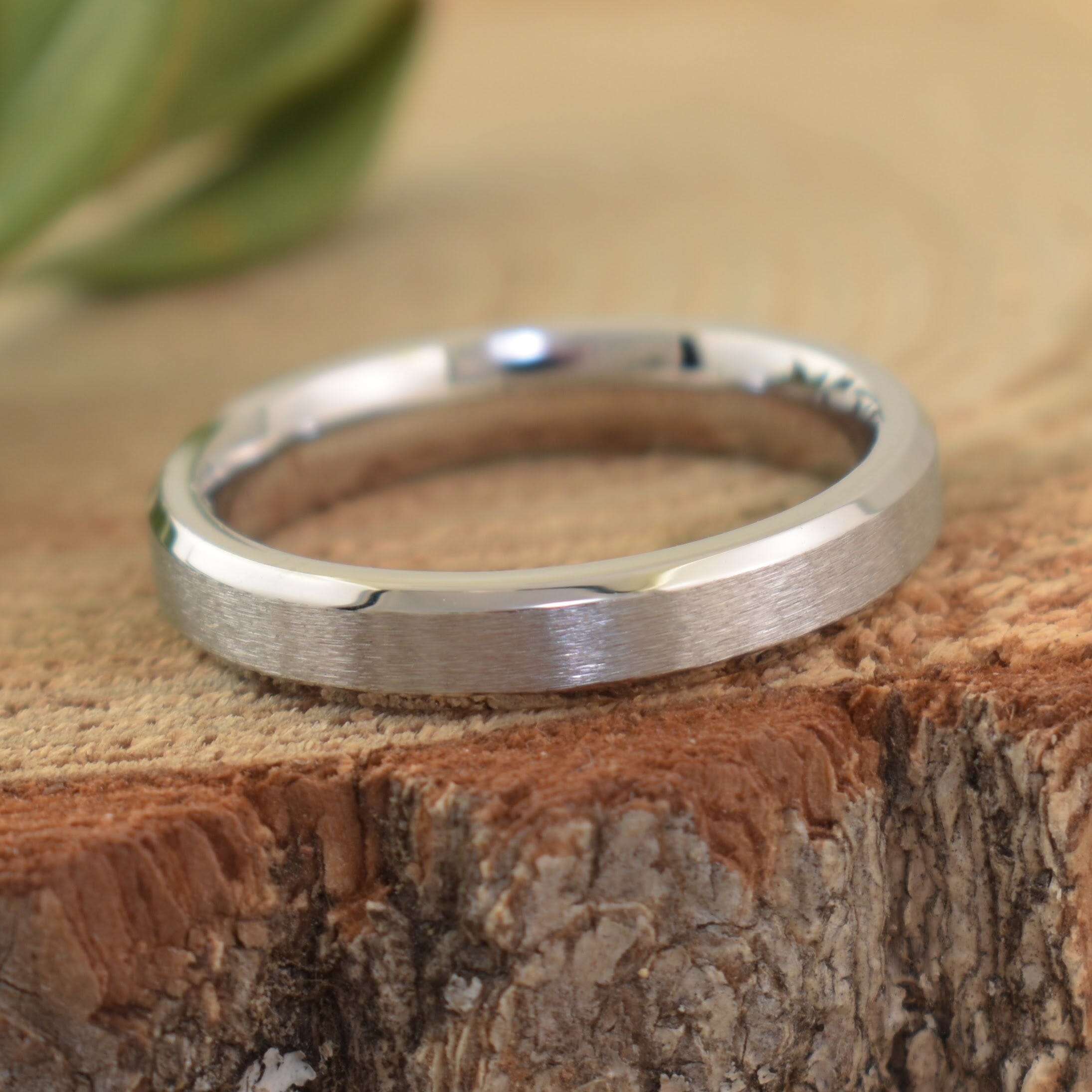 Brushed Stainless Band