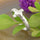 Cross My Heart Ring - Sterling Silver