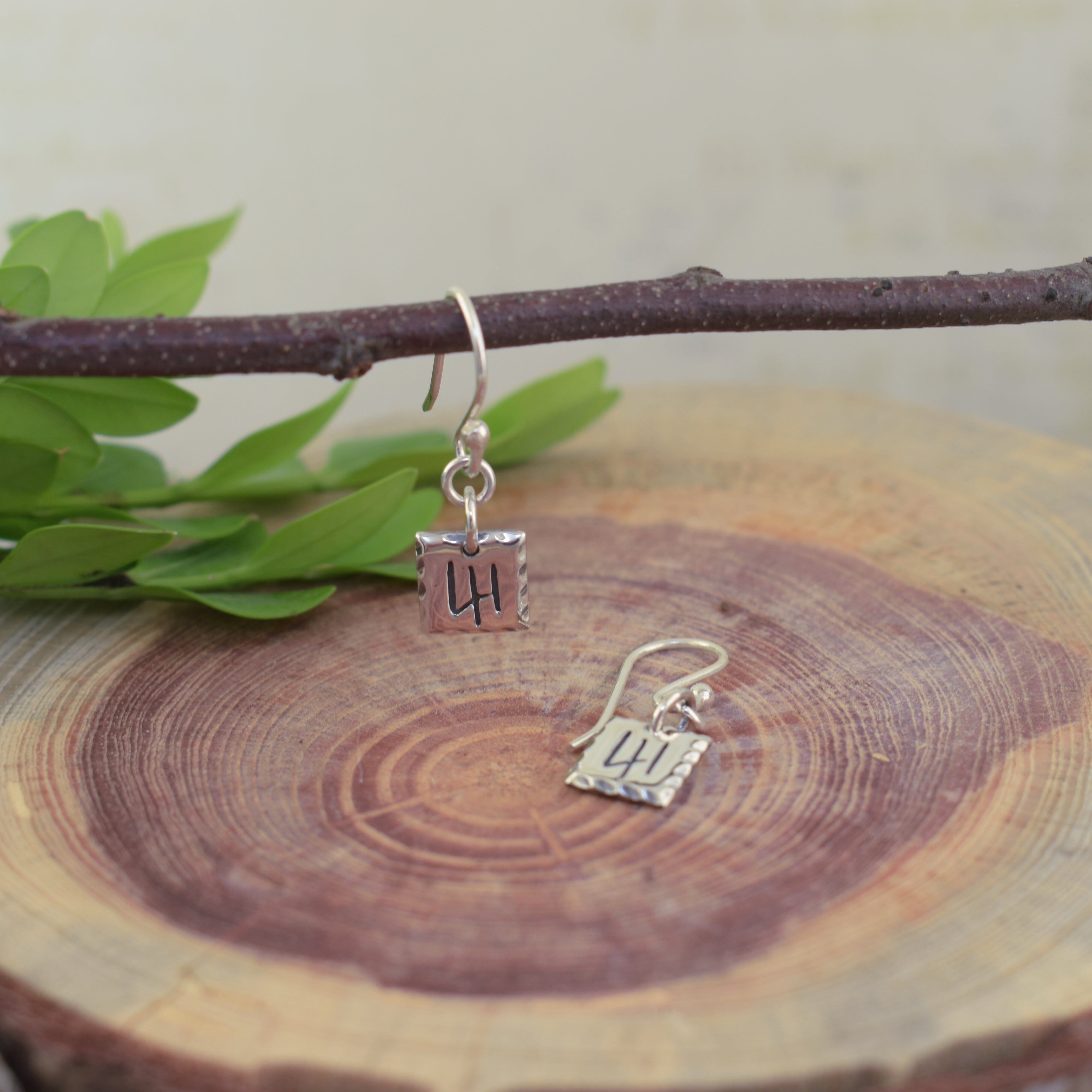 41 Earrings