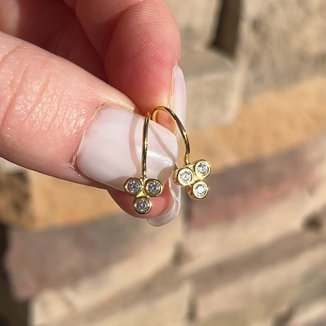 Too Cute to Care Earrings